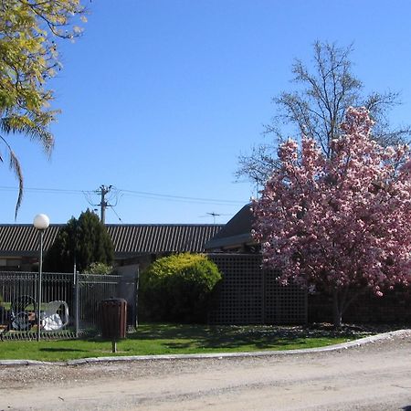 Belvoir Village Motel & Apartments Wodonga Zewnętrze zdjęcie