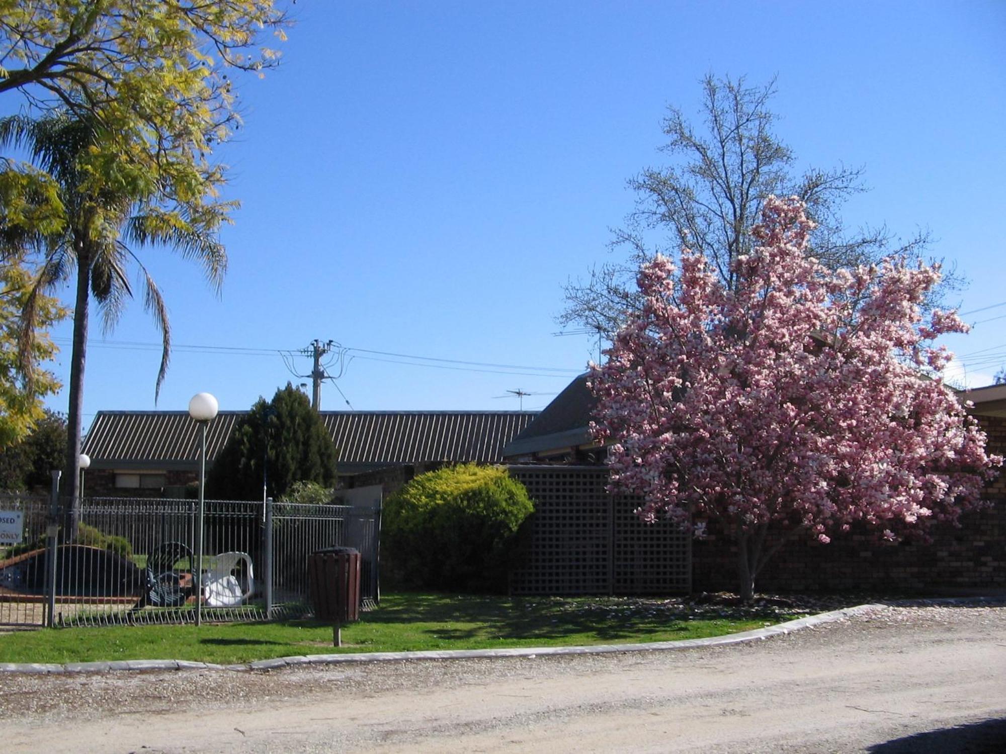 Belvoir Village Motel & Apartments Wodonga Zewnętrze zdjęcie